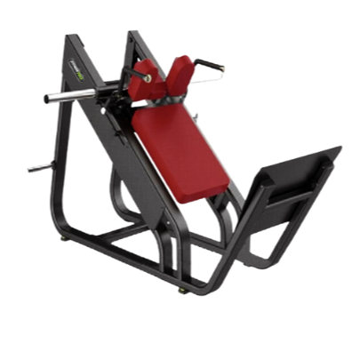 DT-658 _Fitness Pro Hatch Squat