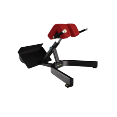DT-645_Fitness Pro Hyper Extension